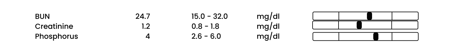 Cat kidney function blood test.