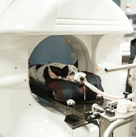 diagnostic Imaging