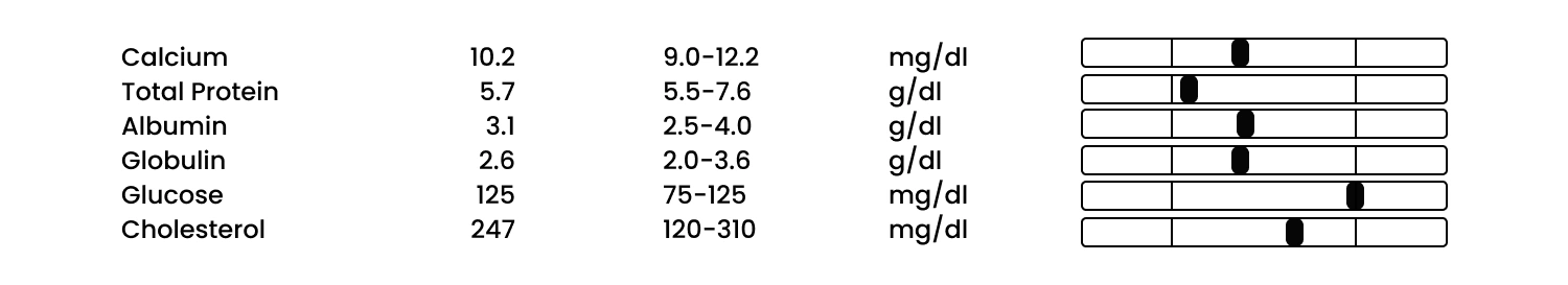 Dog metabolic function blood test.
