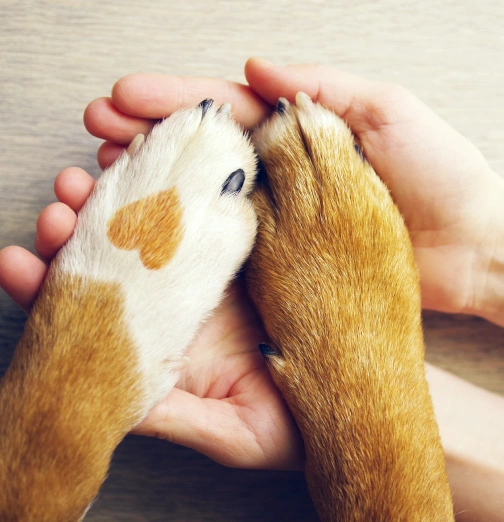 We Are Here for You
