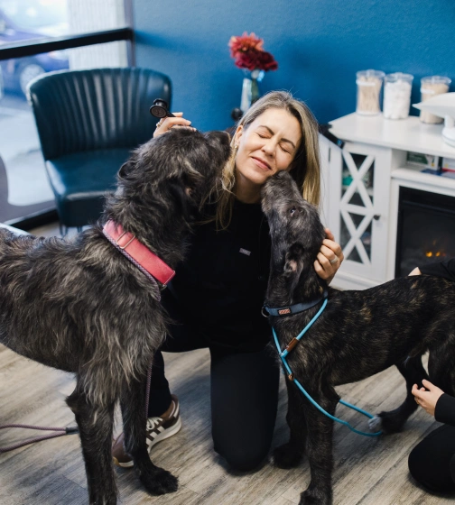 Your pet's health, every step of the way