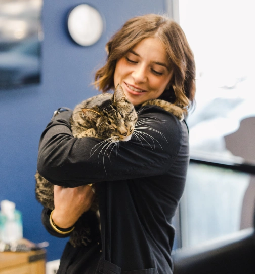 Veterinary Care That Comes to You