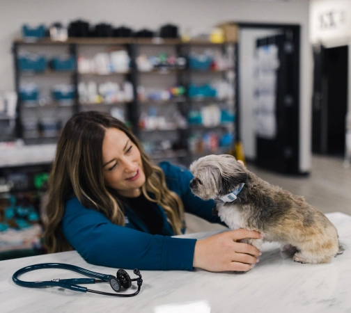 Welcome to our veterinary family