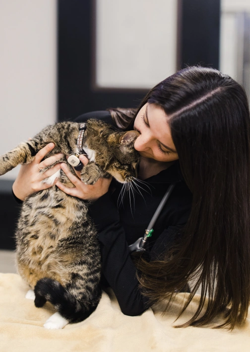 Microchipping to Help Lost Pets Find Their Way Home