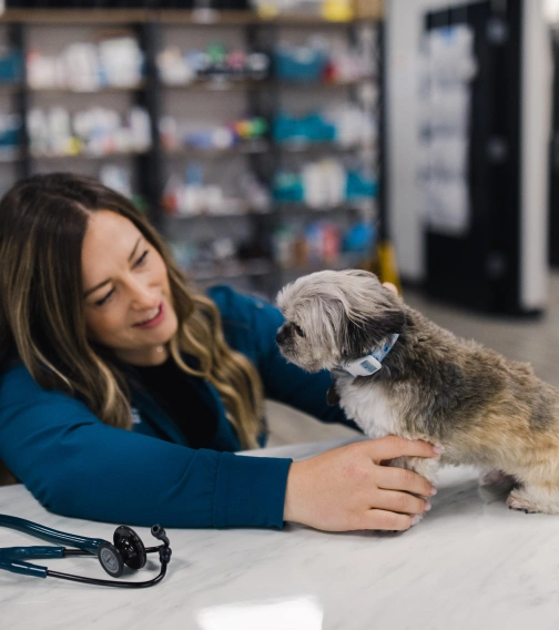 Essential Care During Your Pet’s First Year