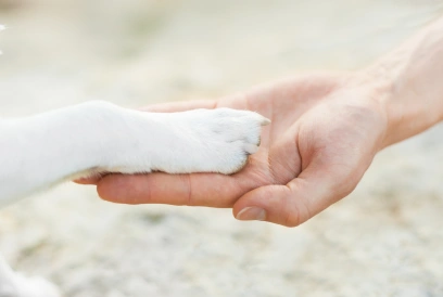 End-of-Life Care