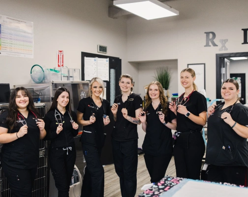 Take the next step in your veterinary education