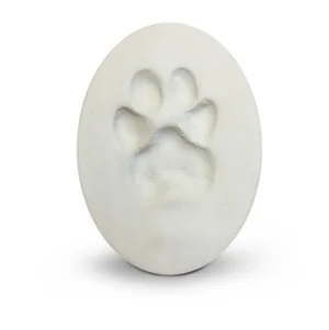 Paw print in clay