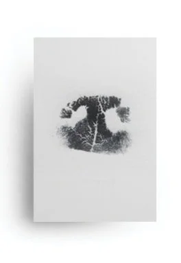 Nose print with ink