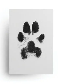 Paw Print with ink